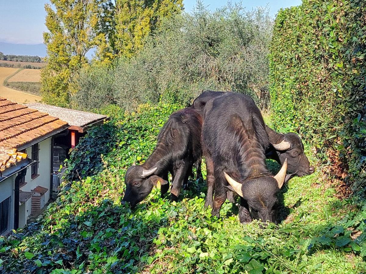 Romitorio Di Castiglione Del Lago Pozzuolo Екстер'єр фото