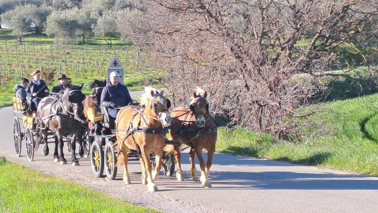 Romitorio Di Castiglione Del Lago Pozzuolo Екстер'єр фото