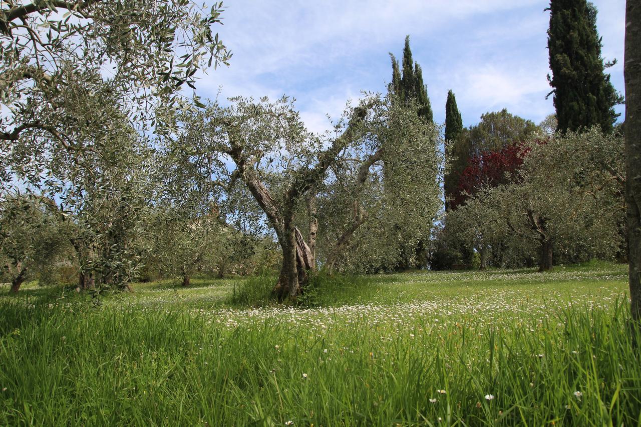 Romitorio Di Castiglione Del Lago Pozzuolo Екстер'єр фото