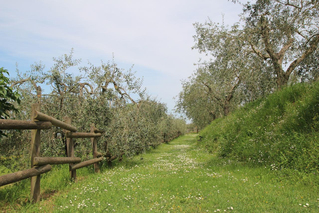 Romitorio Di Castiglione Del Lago Pozzuolo Екстер'єр фото